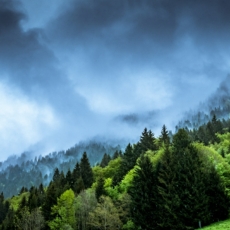 Litigância climática corporativa e agenda ESG