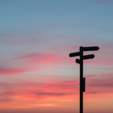 Sucesso profissional: caminhos diferentes para um só destino