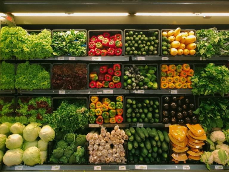 marco regulatório de novos alimentos