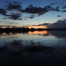 Foz do Amazonas: equilíbrio, segurança ambiental e social