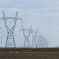 Energia contratada não gera crédito de PIS/Cofins, decide Carf