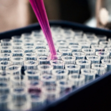 Tendências globais na indústria de biotecnologia