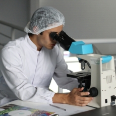 Como a divisão de riscos pode reduzir sobrecarga dos sistemas de saúde