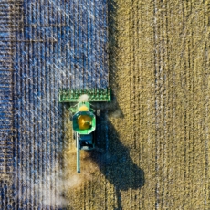 Transparência nas Autorizações de Supressão de Vegetação