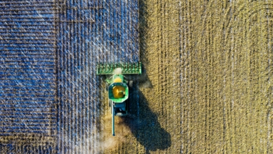 Transparência nas Autorizações de Supressão de Vegetação