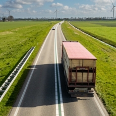 ADC 49 e PLP 116 nas transferências interestaduais de mercadorias