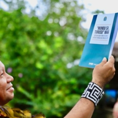 A tradução da Constituição para Nheengatu e as práticas decoloniais digitais