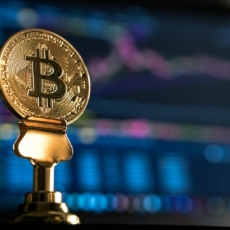 Brasil pode ter modelo regulado de seguro para criptoativos