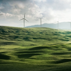Neoindustrialização verde ou desindustrialização
