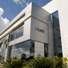 O controle societário e o Cade