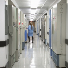 As novas regras para alterações de hospitais nas operadoras de saúde