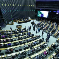 PEC 45: Pacto federativo e o conselho federativo