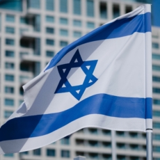 Israel em Haia: razoabilidade, proporcionalidade e direitos fundamentais