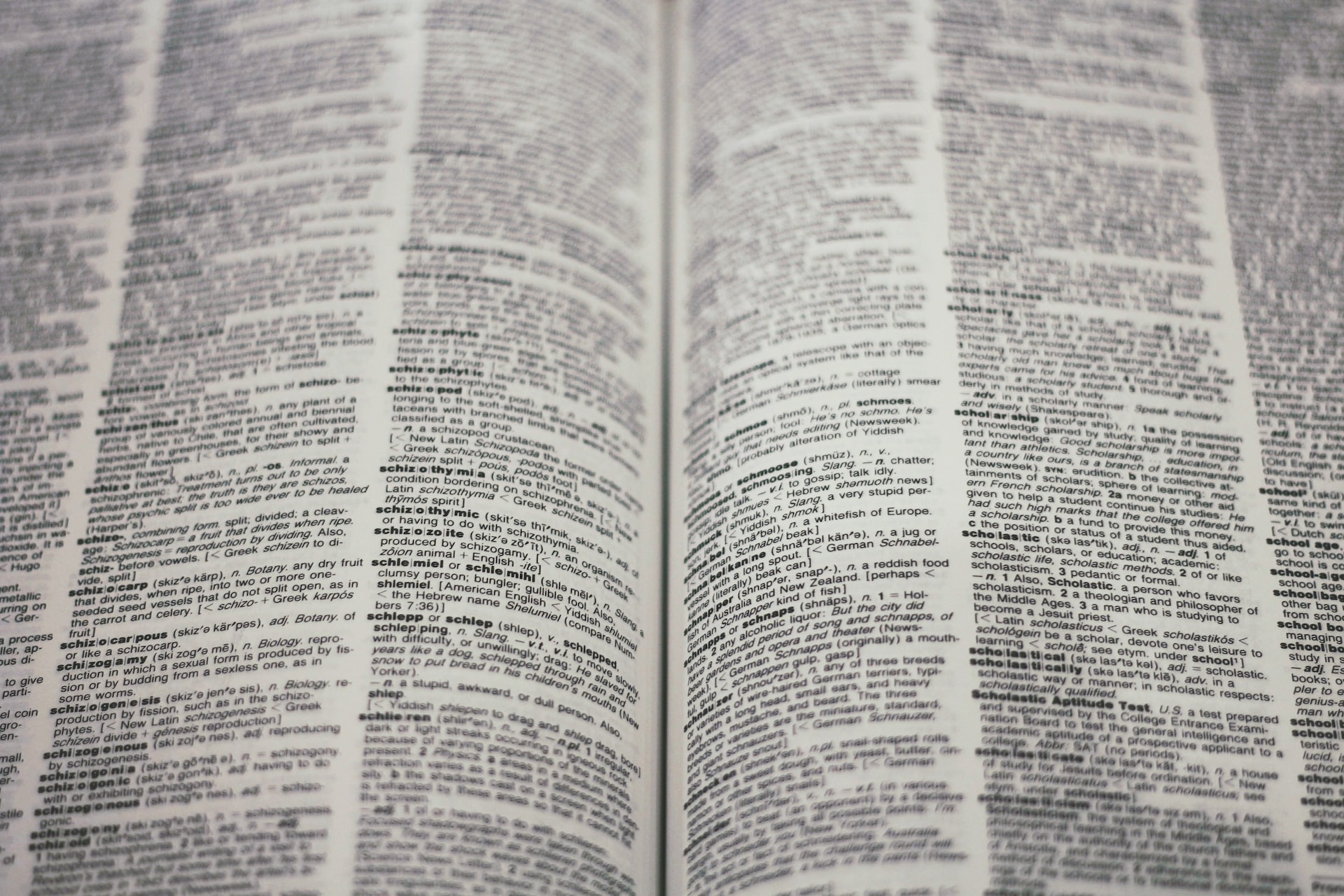 linguagem advogado