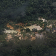 Estudo identifica falha no combate à lavagem de dinheiro advindo de crime ambiental