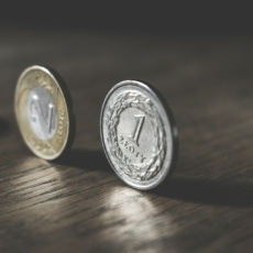Entes subnacionais e desenvolvimento econômico