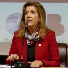 Lula indica advogada Daniela Teixeira para vaga no STJ