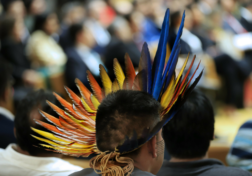 Um indigenismo para o Judiciário brasileiro?