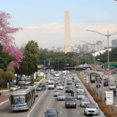 Rota 2030: Governo estuda tributação variada por potência de motor de veículos