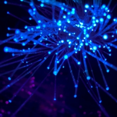 NetMundial+10: novas oportunidades para velhos desafios