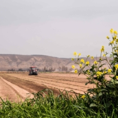 Carf: apresentação de Ato Declaratório Ambiental é necessária para dedução de ITR