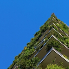 Transformação digital sustentável: rumo a um mundo mais responsável e inovador