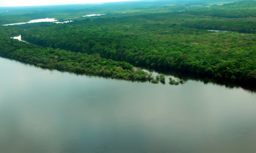 Fundo Amazônia