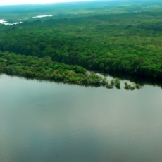 Governo federal pretende investir R$ 600 milhões no Fundo Amazônia até 2025