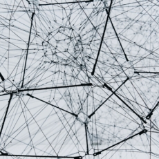 Consensualidade regulatória e economia digital