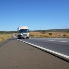 Reflexos da decisão do STF sobre a Lei 13.103/2015 no setor de transportes
