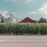 grãos agronegócio