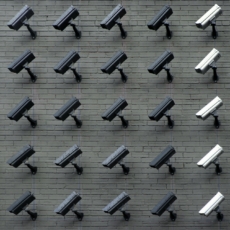 O devido processo legal como concretização do direito à privacidade