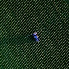 Desapropriação de imóvel rural produtivo: a falta de regulamentação ordinária