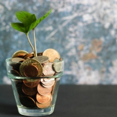 Como o financiamento misto pode acelerar o desenvolvimento sustentável