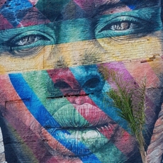 No Brasil independente, negro é a raiz da liberdade