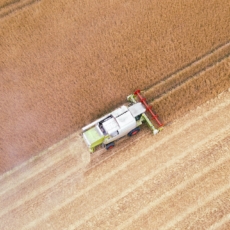 A exclusão do ICMS da receita bruta da comercialização da agroindústria
