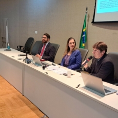Decisões do STF em reclamações têm erodido Direito do Trabalho, diz estudo