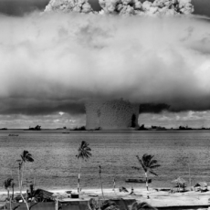 Aspectos jurídicos do processo Oppenheimer
