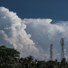 Repasse de benefícios fiscais: as implicações para os usuários de telecomunicações