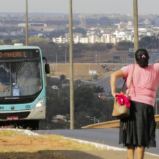 Transporte público gratuito, eleições e democracia
