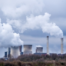 O mercado de carbono brasileiro em 2023