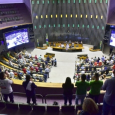 Derrubada do imposto seletivo para armas: que tiro foi esse?