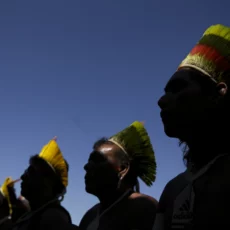 Você sabe quantos territórios de povos e comunidades tradicionais existem no Brasil?