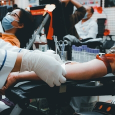 Paciente testemunha de Jeová tem direito de recusar transfusão de sangue, diz TJES