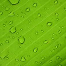Política europeia para fomento do hidrogênio verde ganha tração