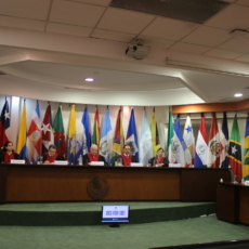 Corte IDH condena Paraguai por inação em caso de restituição internacional de criança