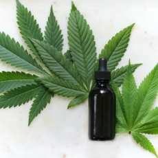 São Paulo regulamenta a oferta de medicamentos a base de cannabis pelo SUS