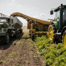 Novo arcabouço legal dos defensivos agrícolas