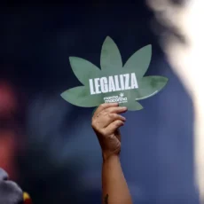 PGR vai ao STF contra lei de Sorocaba que proíbe Marcha da Maconha