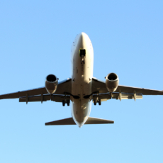 Precedentes do Cade e a atuação da Anac na regulação econômica do setor aéreo